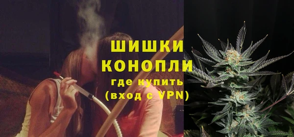 индика Лихославль