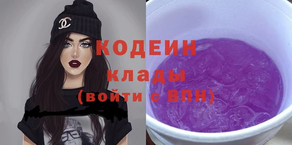 индика Лихославль