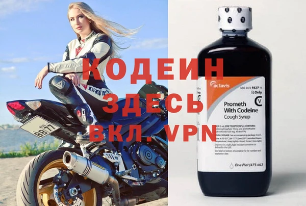 индика Лихославль