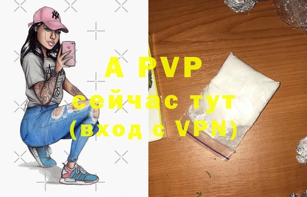 индика Лихославль