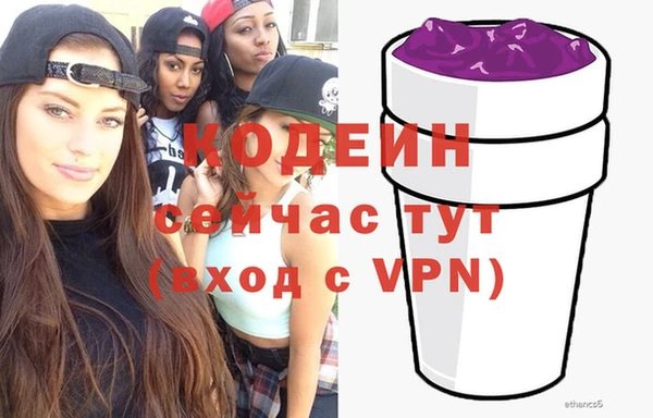 индика Лихославль