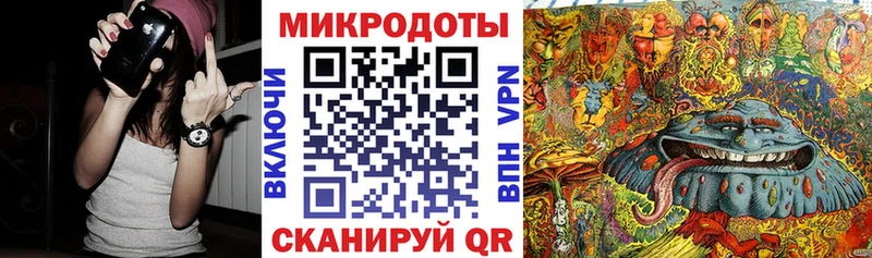 магазин продажи наркотиков  Новотитаровская  Галлюциногенные грибы Psilocybe 